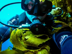 nowa zelandia new zealand poor knights nurkowanie scuba diving