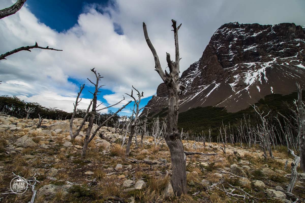 torres del paine trekking chile trekking w patagonia