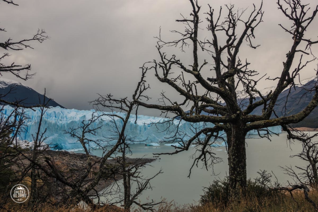 argentyna lodowiec perito moreno trekking big ice wedrowka