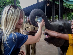 sri lanka pinnawala elephant orphange sierociniec dla sloni karmienie slonia