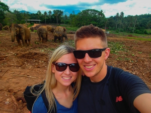 sri lanka pinnawala elephant orphange sierociniec dla sloni daleko od domu