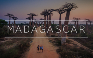 madagaskar madagascar drone afryka aleja baobabów