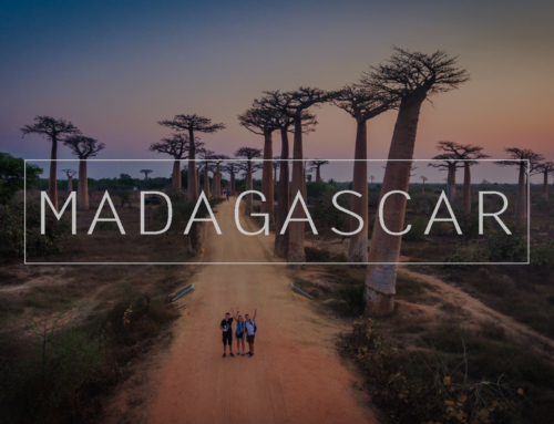 Film – Madagaskar 2017