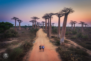 madagaskar madagascar aleja baobabow avenue of the baobabs zachod slonca dron daleko od domu