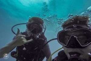 seszele seychelles praslin nurkowanie scuba diving whitetip divers