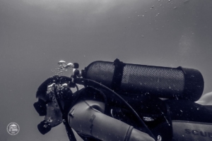 seszele seychelles praslin nurkowanie scuba diving whitetip divers marek