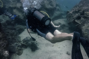 seszele seychelles praslin nurkowanie scuba diving whitetip divers rafa