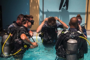 seszele seychelles praslin nurkowanie whitetip divers szkolenie basen